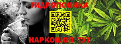 дмт Кандалакша