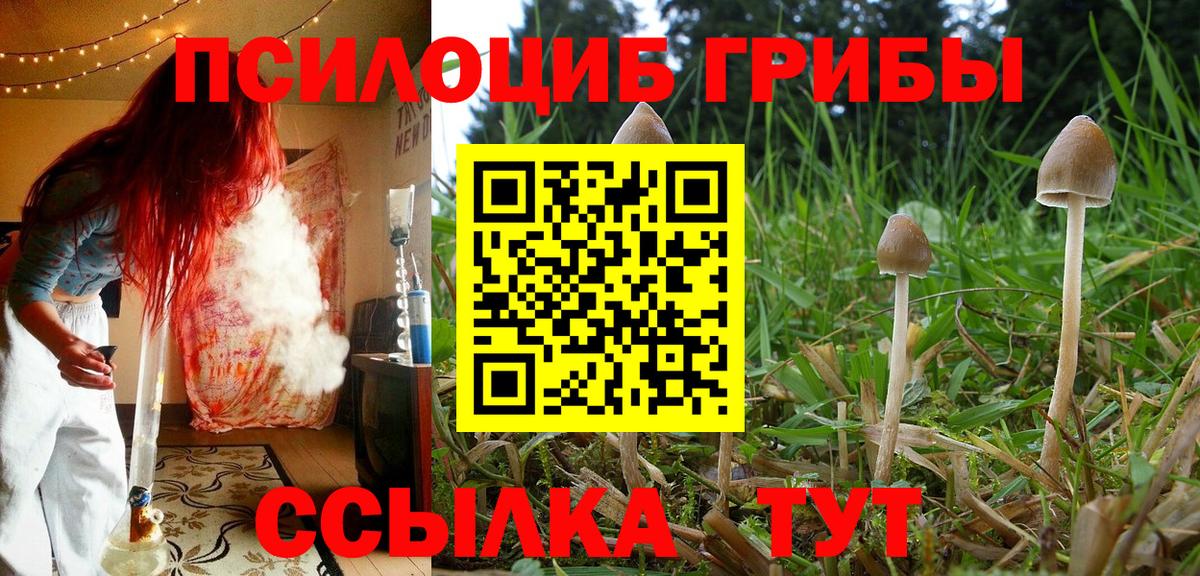 Нарьян-Мар  Галлюциногенные грибы MAGIC MUSHROOMS  Вход с VPN 