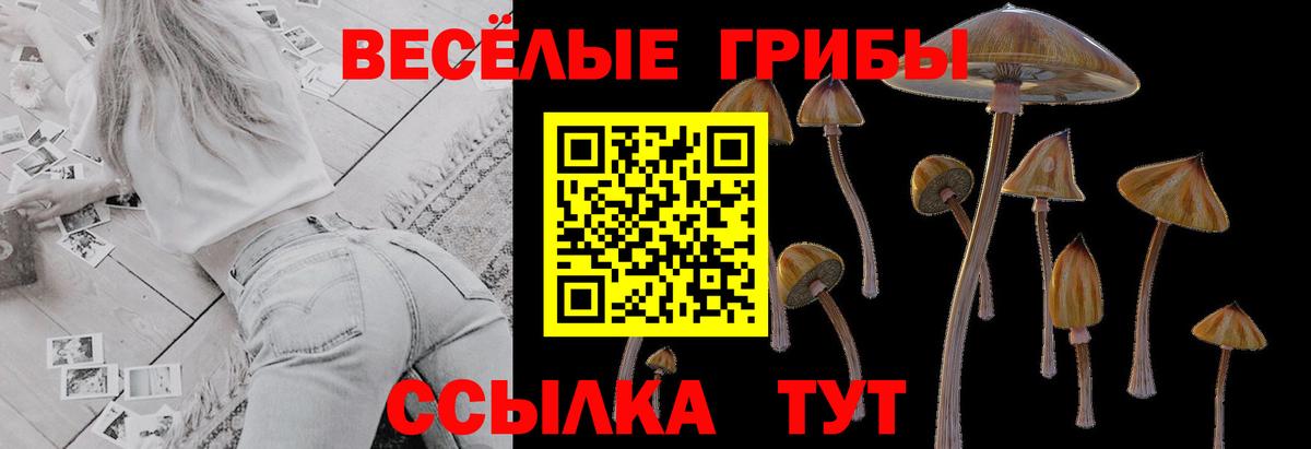 Псилоцибиновые грибы GOLDEN TEACHER Нарьян-Мар